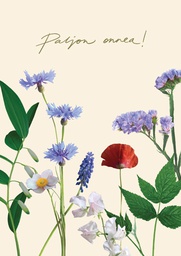 [27P00443] 1-os kortti Garden by Uhana