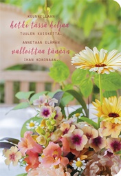 [4904652] 2-os kortti Ilona Pietiläinen