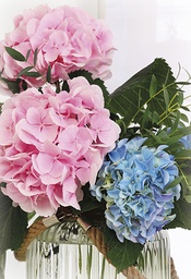 [1960043] 2-os kortti