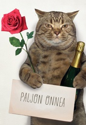 [19P20140] 2-os onnittelu