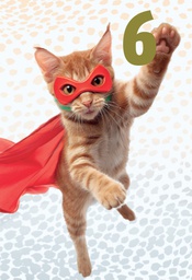 [28P16001] 2-os vuosikortti 6v