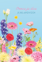 [19P20022] 2-os onnittelu 