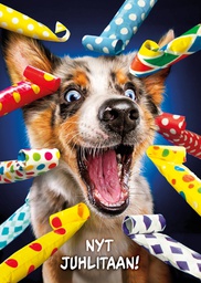 [3910157] 1-os hupikortti Avanti