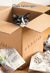 [2920094] 2-os hupikortti R Avanti