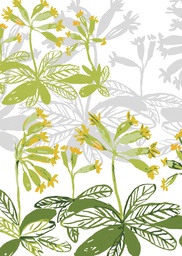 [2742487] 1-os kortti Merja Palin