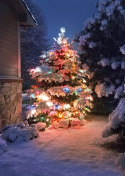 [2742832] 1-os kortti talvi