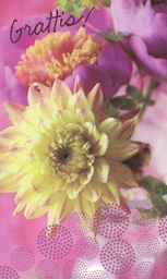 [79292] 2-os R aik.onnittelu