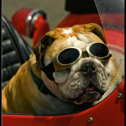 [31965] 1-os Aquarupella Square 13,5 x 13,5