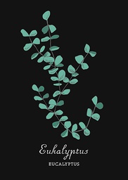 [2724987] 1-os kortti Sari Pelho