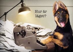 [3910109] 1-os hupikortti R Avanti