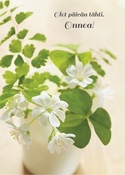 [27P00079] 1-os onnittelu