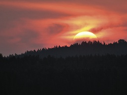 [318113] Juliste 30x40cm Auringon lasku