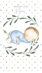 [2282054] 2-os vauvakortti R poika