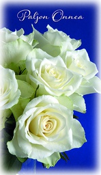 [4903875] 2-os kortti