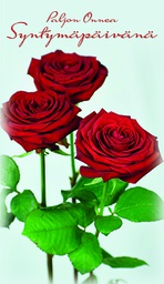 [4903874] 2-os kortti