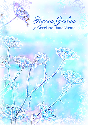 1-os joulukortti pienkauppavalikoima