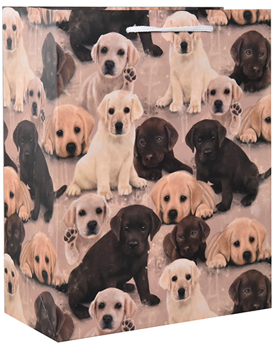 Lahjakassi L/F Mainelakeus Labradori