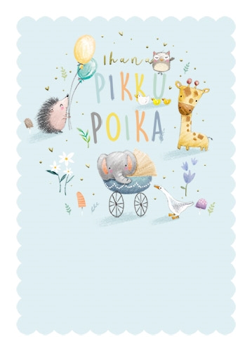 2-os vauvakortti poika