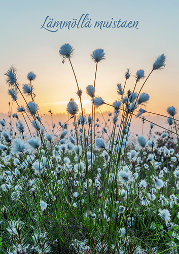 Suruadressi Tupasvilla