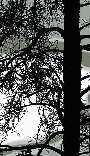 2-os kortti Vallila Kelohonka vihreä