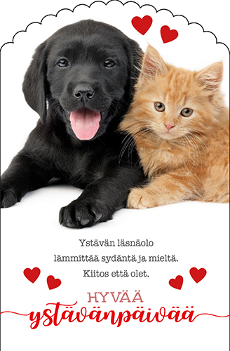 1-os ystävänpäivä stanssattu CIL