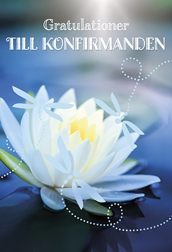 2-os rippi R setelitasku