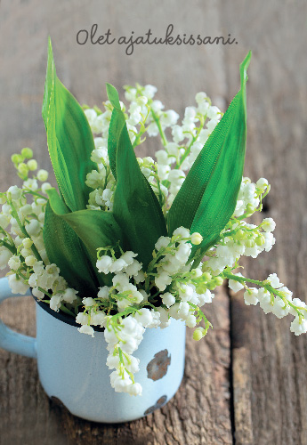 2-os kortti Mieli ry