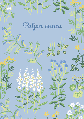 1-os kortti Finlayson Joutomaa