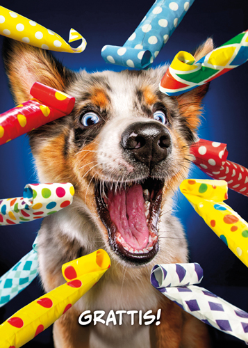 1-os hupikortti Avanti