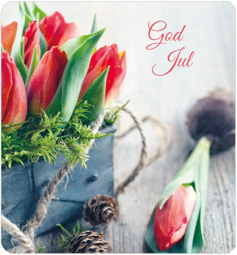 1-os Joulu R Anna-Mari West