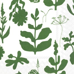 [C936920] ELOKUUN VORJOT green 25cm