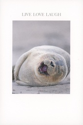 [49P00122] 2-os kortti engl