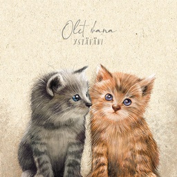 [51P0096] 2-os neliökortti