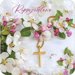 [237013] 2-os rippi neliökortti