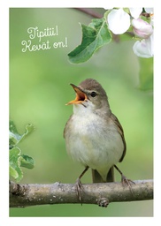 [27P00376] 1-os kevätkortti