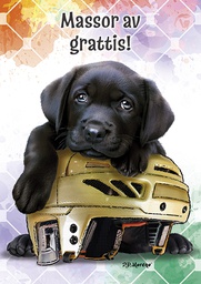 [4752923] 1-os lastenkortti R