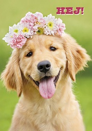 [3910148] 1-os hupikortti R Avanti