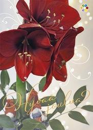 [117949] 1-os joulu Syöpäpotilaat PMM Kati Pekkarinen