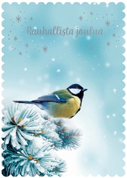 [29279] 1-os joulu Unicef hyv.tek