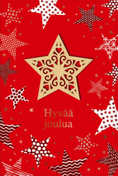 [125401] 2-os joulukortti puukoriste