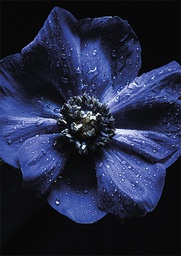 [2530213] 1-os kortti