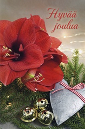 [3361230] 2-os joulupakettikortti valokuvattu Kati Pekkarinen