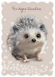 [27P00400] 1-os kortti Mainelakeus