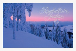 [125412] 2-os joulu liiketeksti