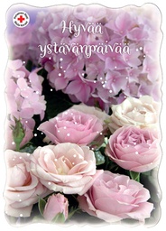 [29388] 1-os ystävänpäivä SPR PMM Sari Gustafsson