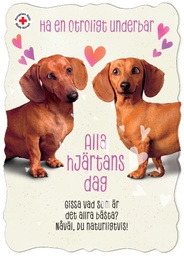 [29409] 1-os ystävänpäivä R SPR PMM Hallmark