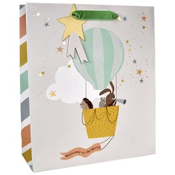 [6631080] Lahjakassi M/E Hallmark Hello little one