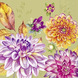 [C1051920] DAHLINA green 25cm