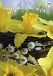 [162433] 1-os pääsiäinen Syöpäpotilaat PMM Kati Pekkarinen