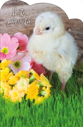 [162447] 1-os pääsiäinen stanssattu Jorma Jämsen